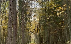 Ostoja Białowieska